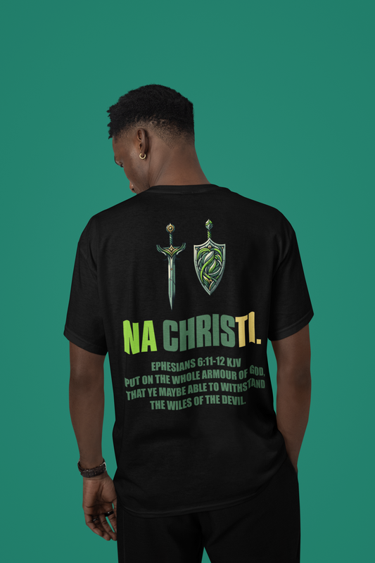 EPHESIANS 6:11-12 T-SHIRT